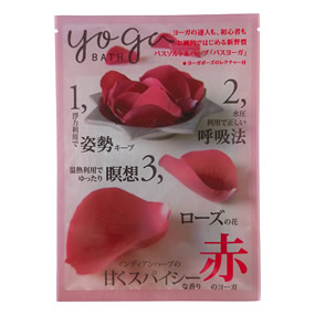 �o�X���[�K �Ԃ̃��[�K�i���[�Y�j