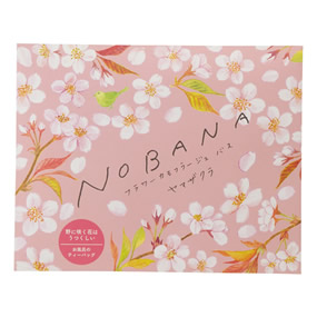 NOBANA �t�����[�J���t���[�W���o�X ���}�U�N��