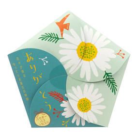 �n�i�T�N�� �J���~�[��