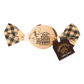 �A�}�C���i �o�X�L�����f�B�[ ���v���`���R���[�g �i1P�j