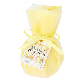 �T���n�[�u �o�X�{��II �O���[�v�t���[�c