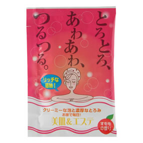 �G�X�e�N���[�~�[�o�X �������̍���