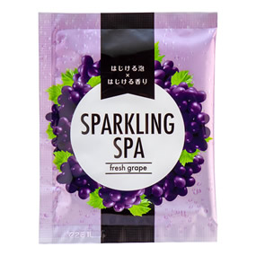 �X�p�[�N�����O�X�p �t���b�V���O���[�v