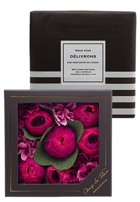 �V�����E�h�E�t���[�� �{�b�N�X�o�X�y�^�� �u���Y