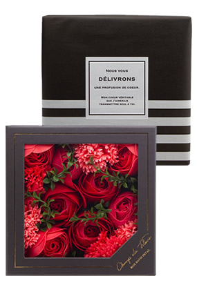 �V�����E�h�E�t���[�� �{�b�N�X�o�X�y�^�� �o���@�[��