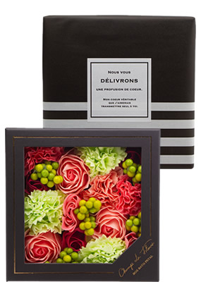 �V�����E�h�E�t���[�� �{�b�N�X�o�X�y�^�� �v���G�[��