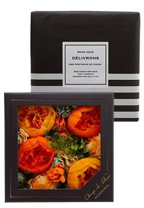 �V�����E�h�E�t���[�� �{�b�N�X�o�X�y�^�� �V�G��