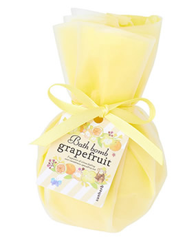 �T���n�[�u �o�X�{��II �O���[�v�t���[�c