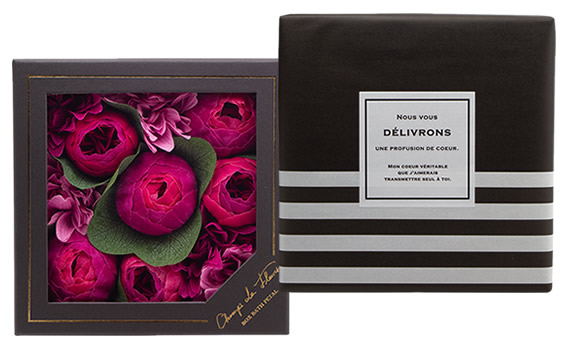 �V�����E�h�E�t���[�� �{�b�N�X�o�X�y�^�� �u���Y