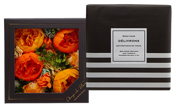 �V�����E�h�E�t���[�� �{�b�N�X�o�X�y�^�� �V�G��