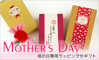 ��̓��̓����܃M�t�g